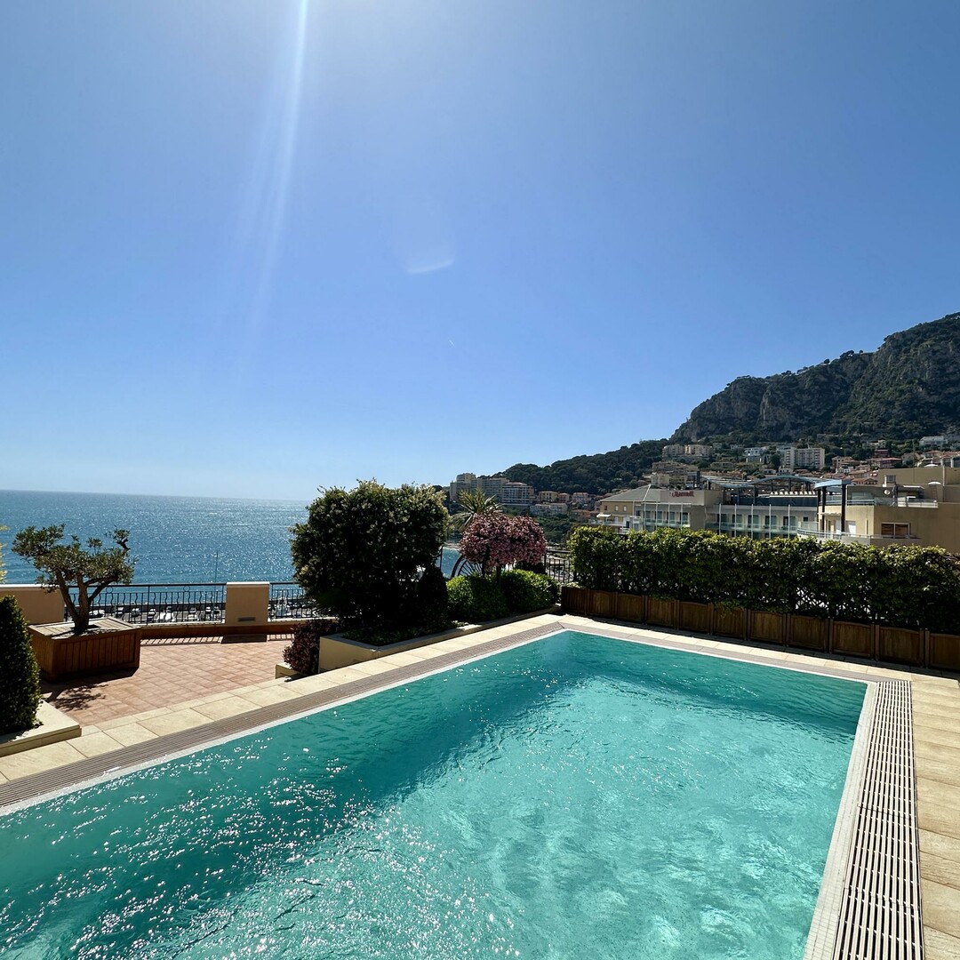 TOP-CLASS PENTHOUSE | PRIVATE SWIMMING POOL - Apartments for rent in Monaco