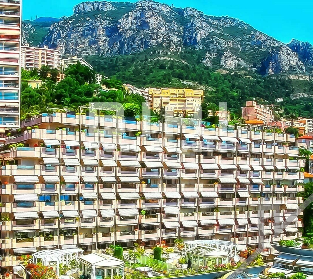 MAGNIFIQUE VILLA SUR LE TOIT - Apartments for rent in Monaco