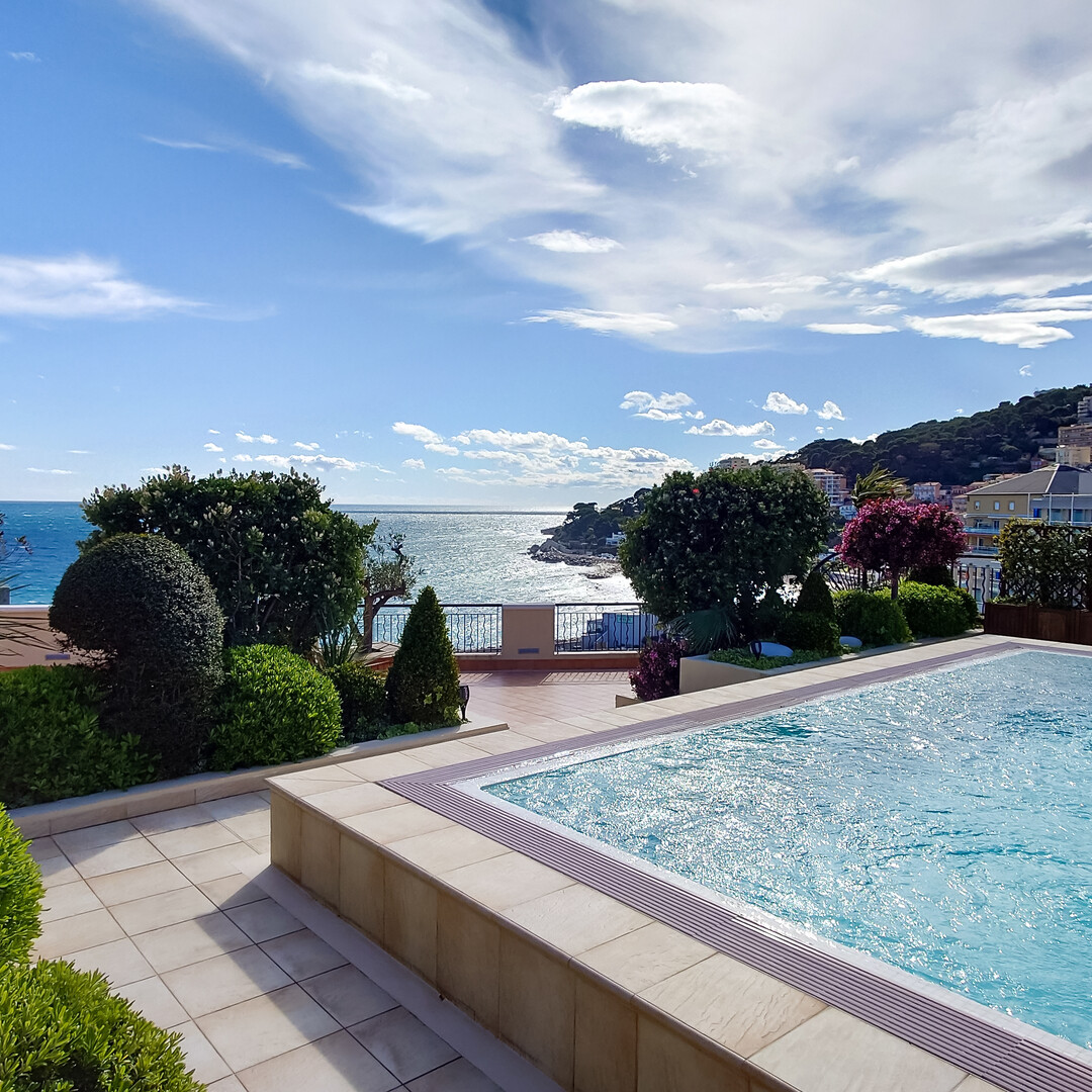 MAGNIFICENT ROOFTOP WITH PRIVATE SWIMMING POOL & SEA VIEW - Apartments for rent in Monaco