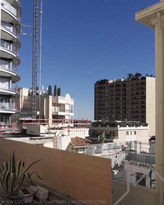 Les Dauphins Boulevard du Ténao Apartments for rent in Monaco