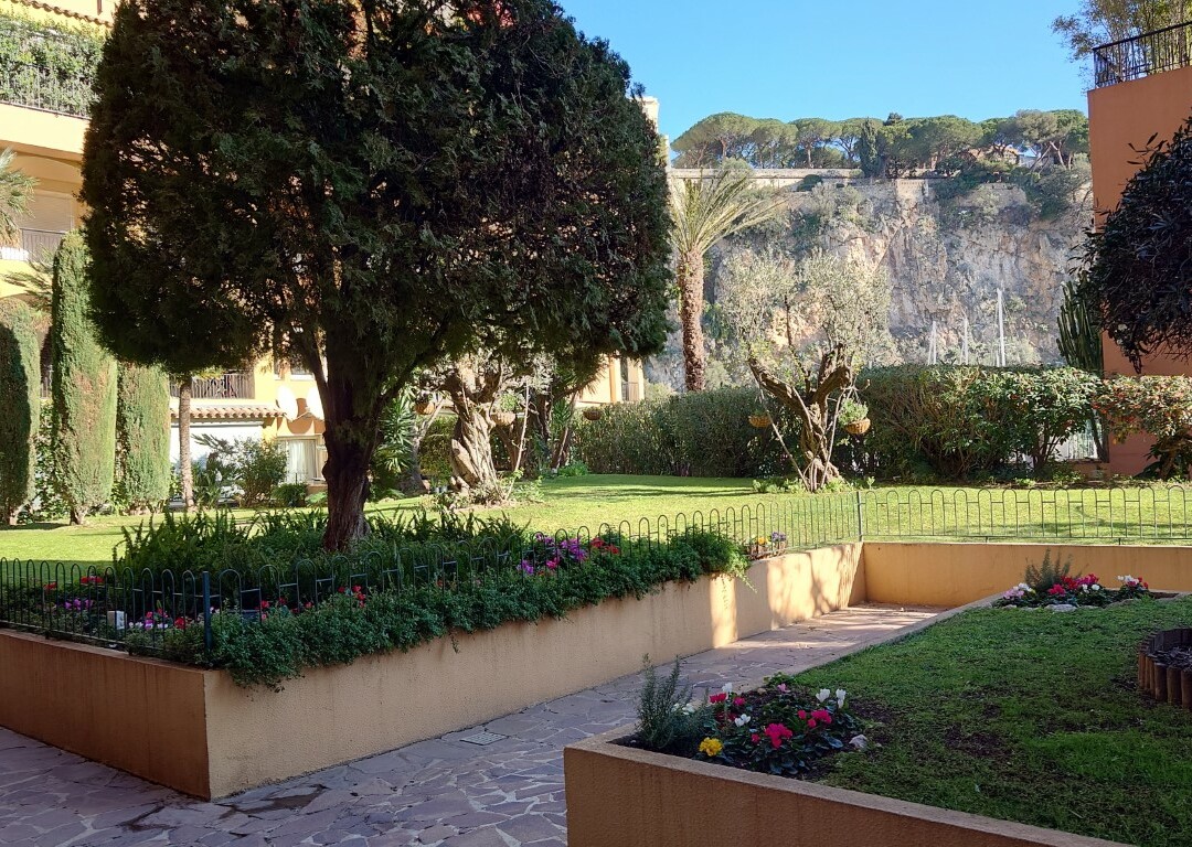 Office/commercial space for rent - Large storefront - Apartments for rent in Monaco