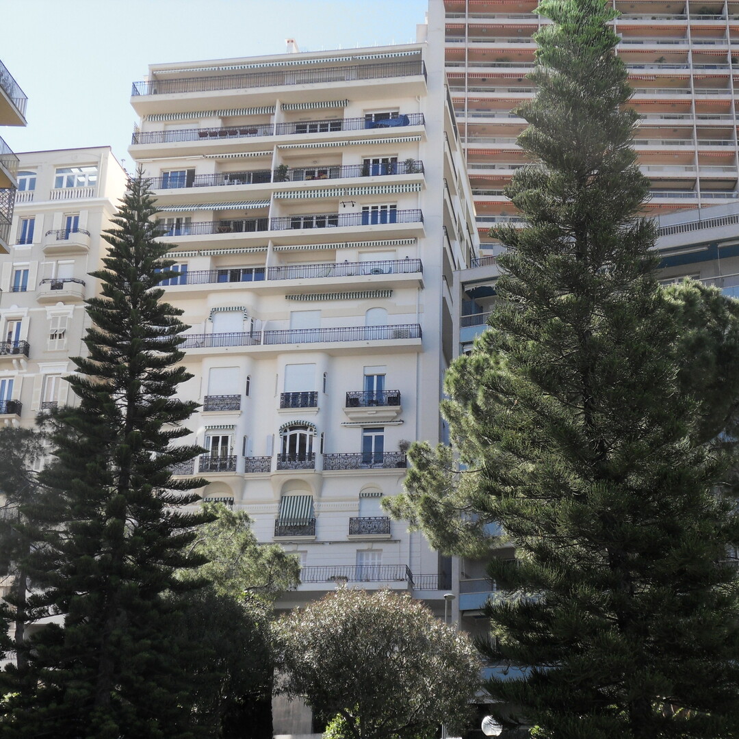 Le Palmier - Boulevard des Moulins - Apartments for rent in Monaco