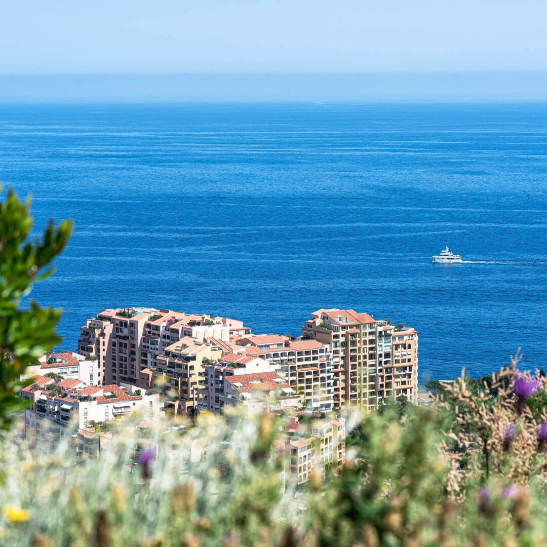 THE EXOTIC - Apartments for rent in Monaco