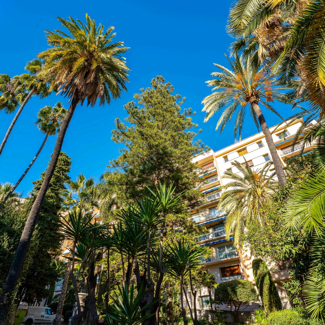 CENTRAL - LE ROQUEVILLE - 1 BEDROOM APARTMENT - Apartments for rent in Monaco