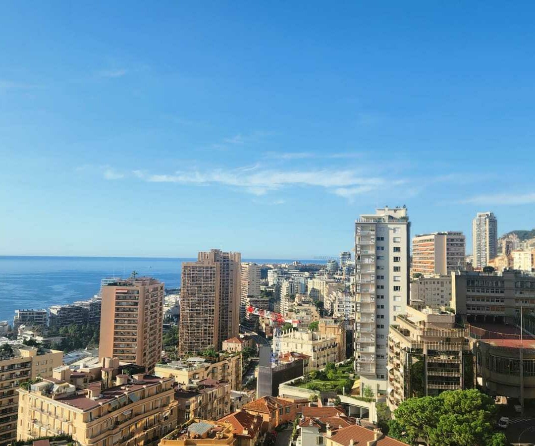 LARGE STUDIO WITH SEA & CITY VIEW - Apartments for rent in Monaco