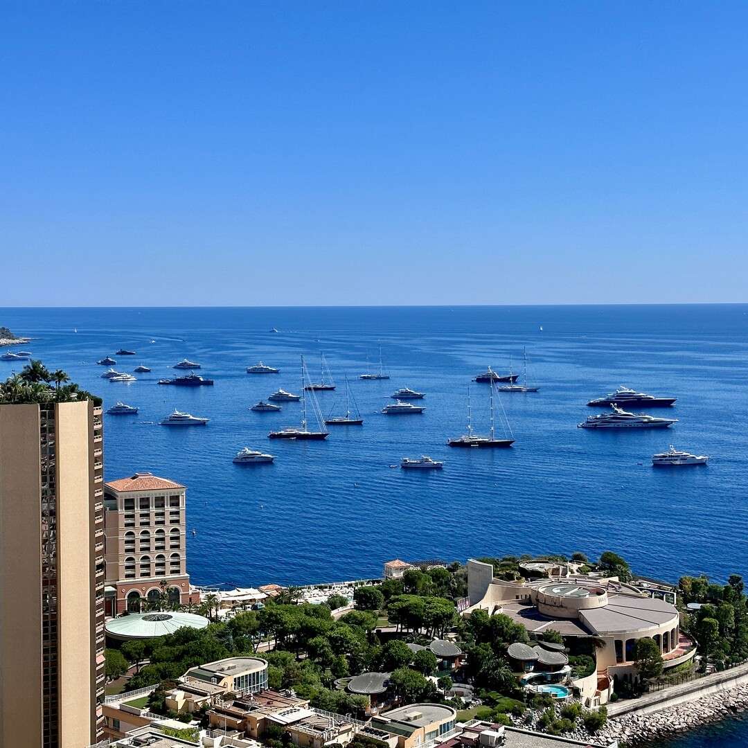 LAROUSSE |CHATEAU PERIGORD I | 3 ROOMS - Apartments for rent in Monaco