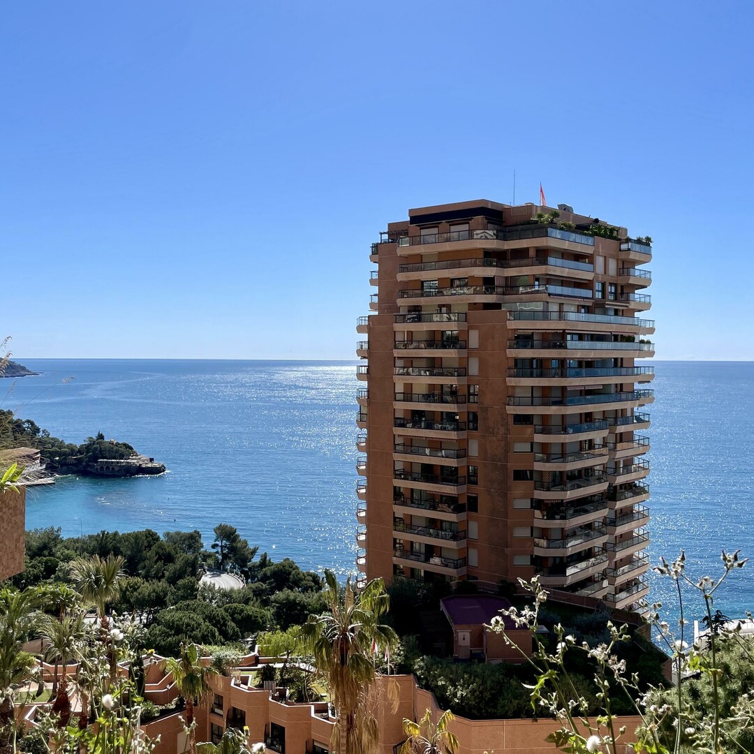 Renovated 2-bedroom apartment - Apartments for rent in Monaco