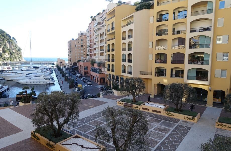 APPARTEMENT DE 2 PIÈCES FONTVIEILLE - Apartments for rent in Monaco