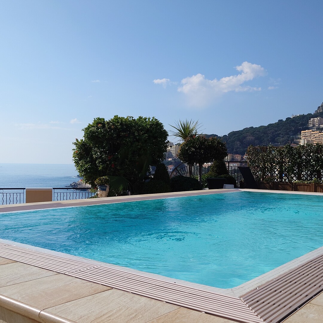 Superb penthouse with sea view - Apartments for rent in Monaco