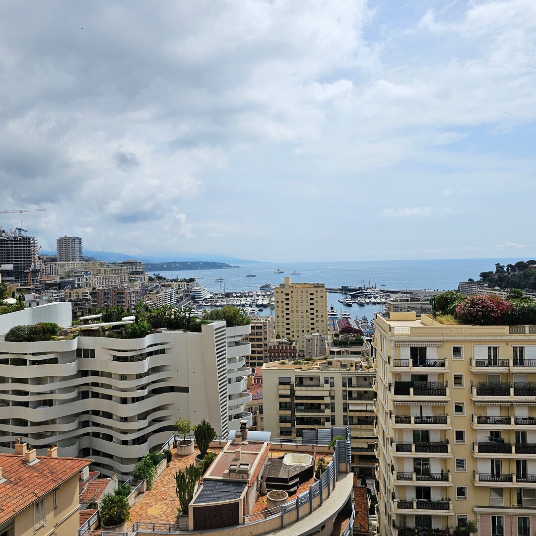 WONDERFUL FAMILY APARTMENT - Apartments for rent in Monaco