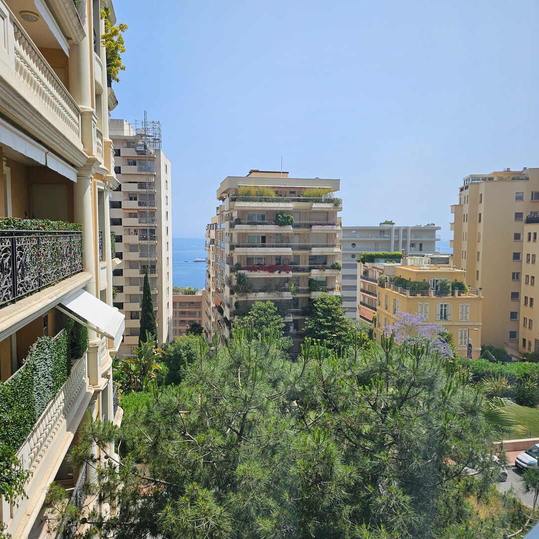 IDEAL PIED-À-TERRE - Apartments for rent in Monaco