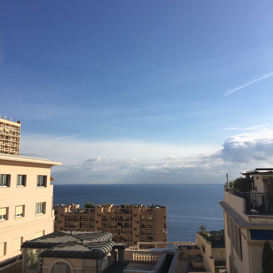 IDEAL PIED-À-TERRE - Apartments for rent in Monaco