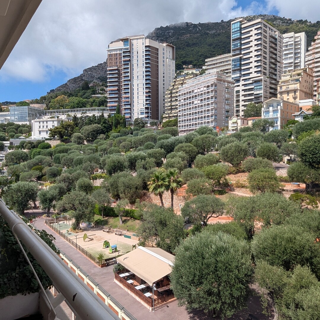 Nice studio with alcova refurbished - Apartments for rent in Monaco