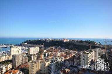 Très bel appartement familial - Apartments for rent in Monaco
