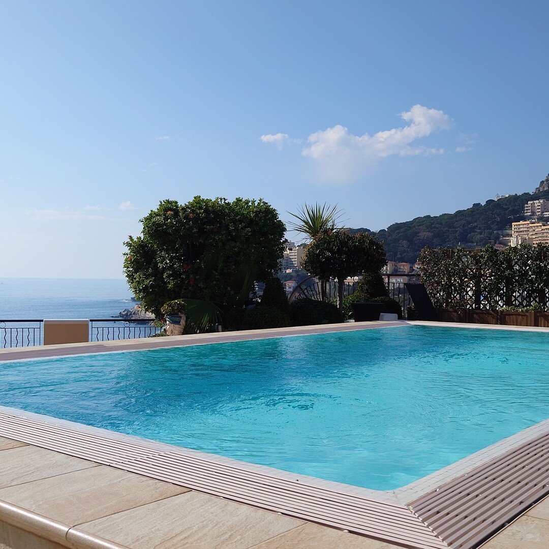 ROOFTOP WITH SWIMMING POOL - Apartments for rent in Monaco