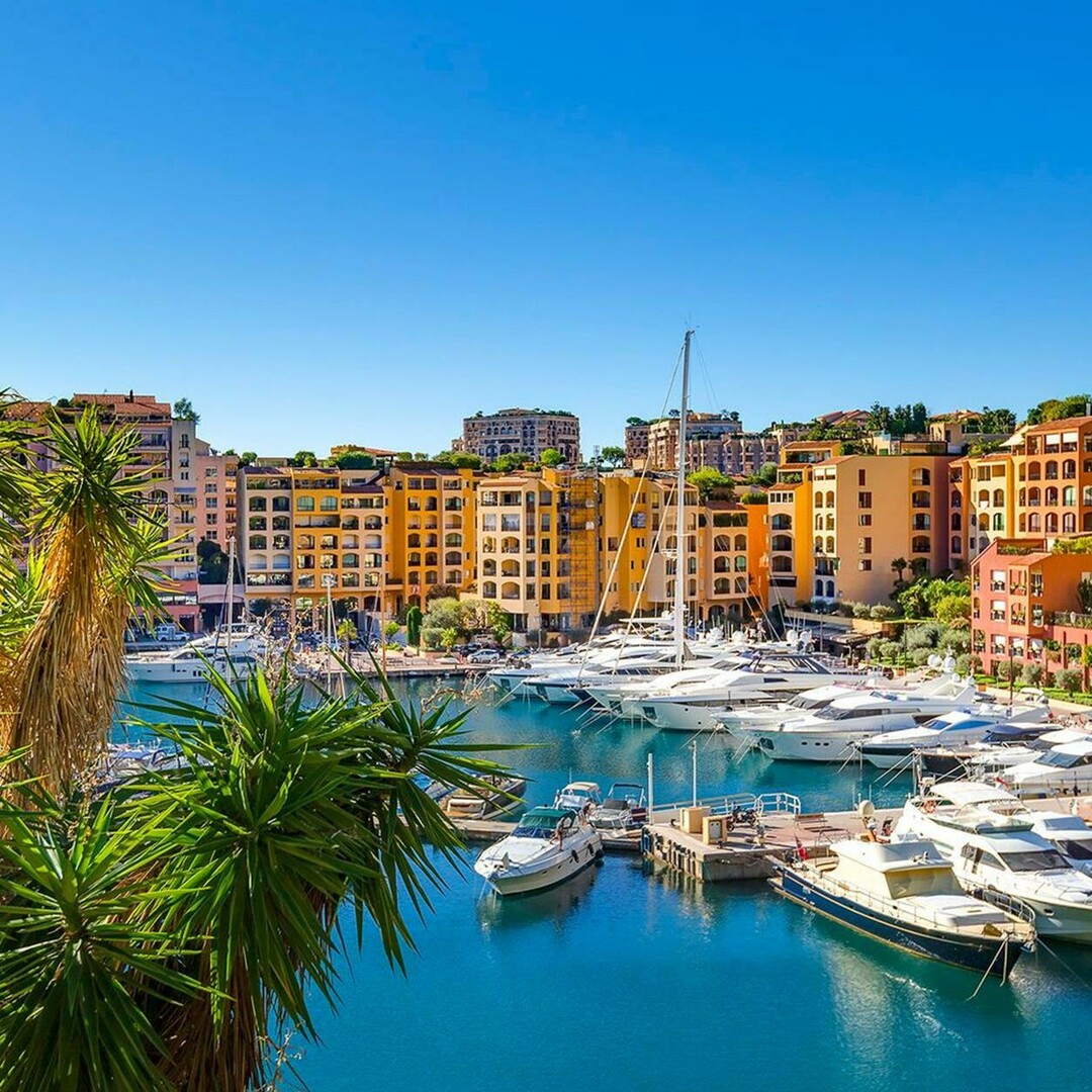 RARE LARGE SURFACE IN FONTVIEILLE - Apartments for rent in Monaco