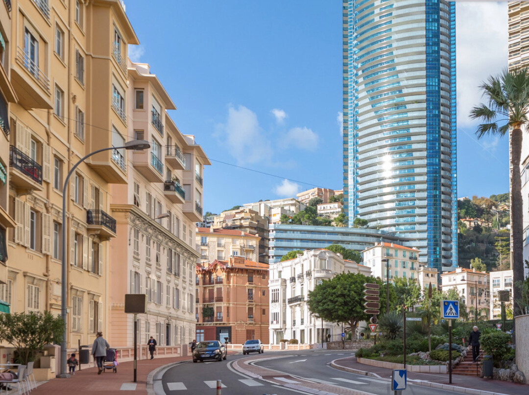 BEAUTIFUL 2 PIECES FOR MIXED USE - Apartments for rent in Monaco