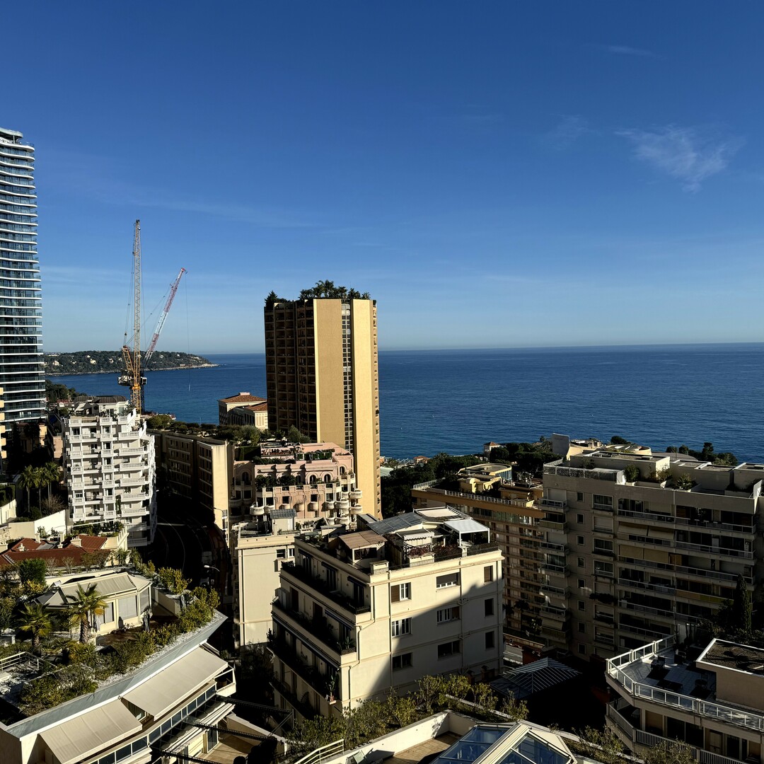 MAGNIFICENT PENTHOUSE FOR RENT - Apartments for rent in Monaco