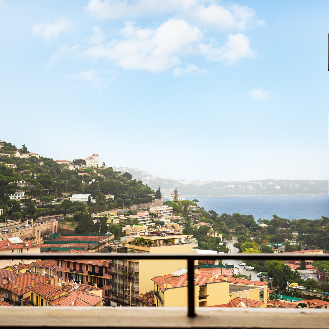NICE STUDIO SEA VIEW - RESIDENCE PARC SAINT ROMAN - Apartments for rent in Monaco