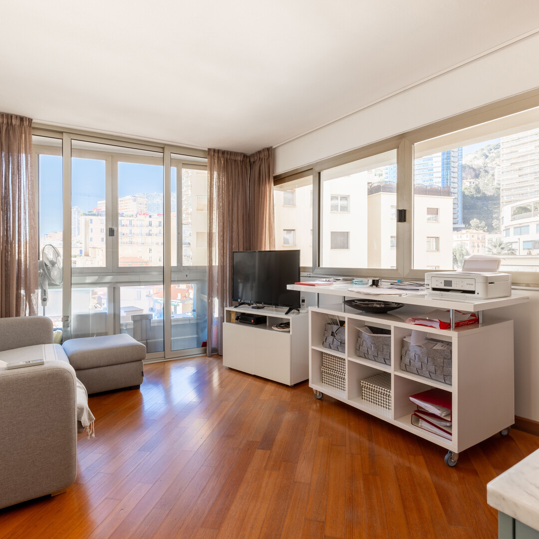 BRIGHT TWO-ROOM APARTMENT WITH PARKING - CHÂTEAU AMIRAL - Apartments for rent in Monaco