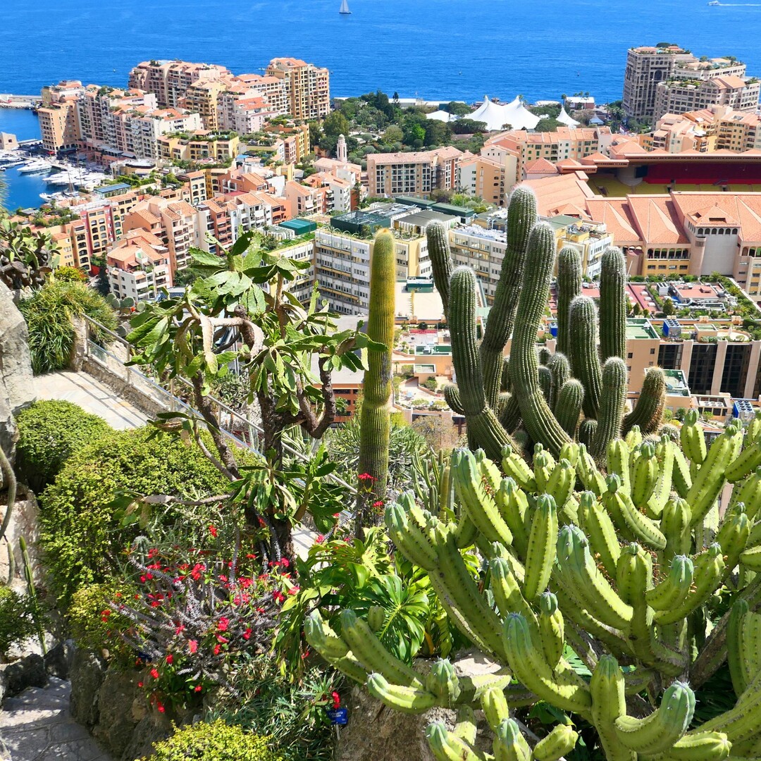 EXOTIC GARDEN - BEAUTIFUL OFFICE - Apartments for rent in Monaco