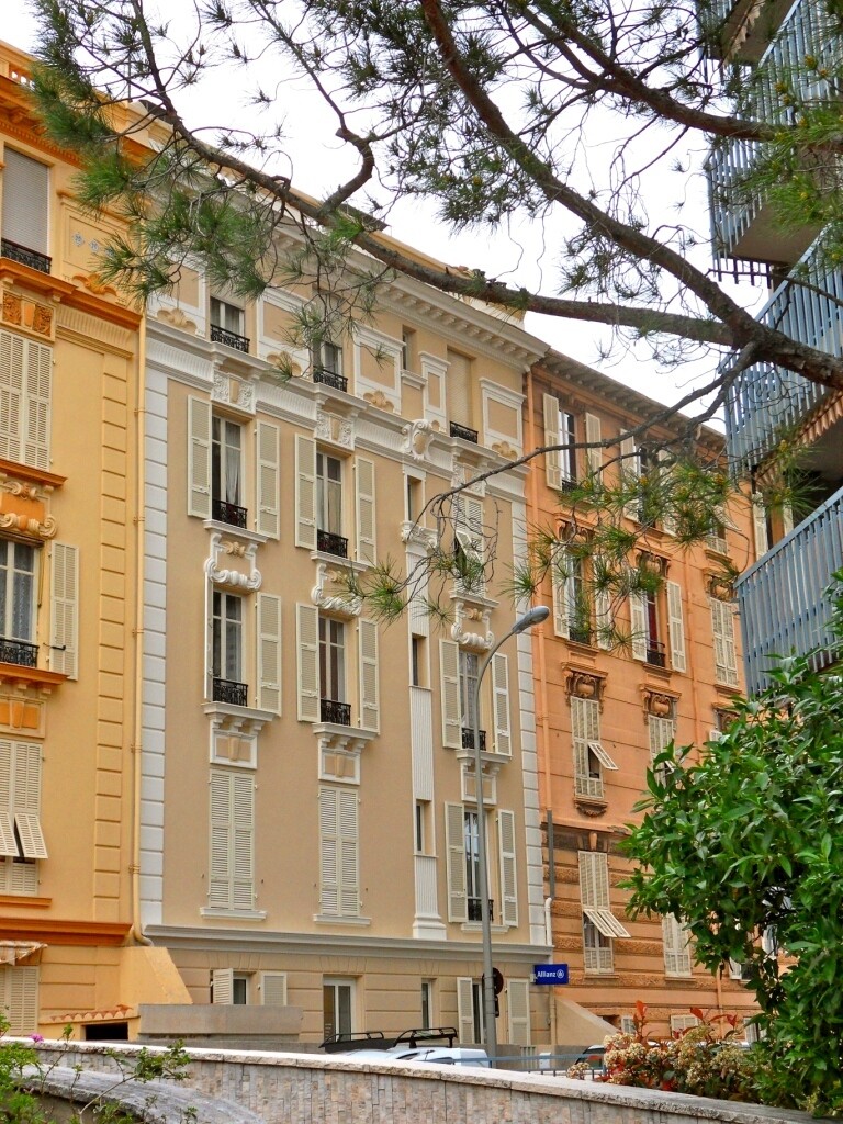 LES BOUTONS D'OR - Rue des Roses