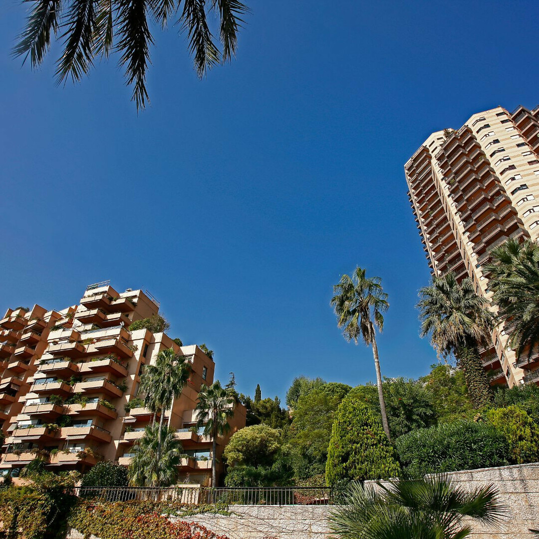 THE SAINT ROMAN PARK