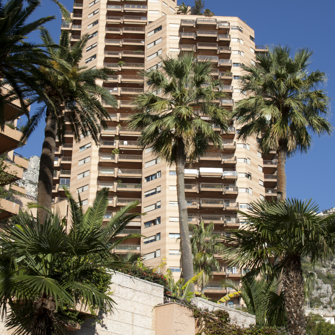 NEW - 2 ROOMS APARTMENT - PARC SAINT ROMAN