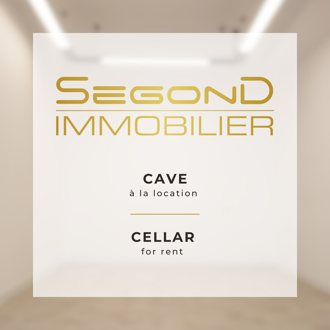 Rental cellar Monaco Port in luxury residence
