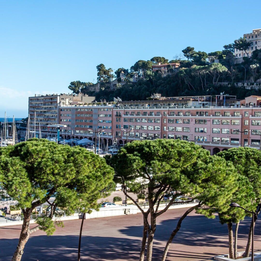 3-bedroom apartment | Condamine district