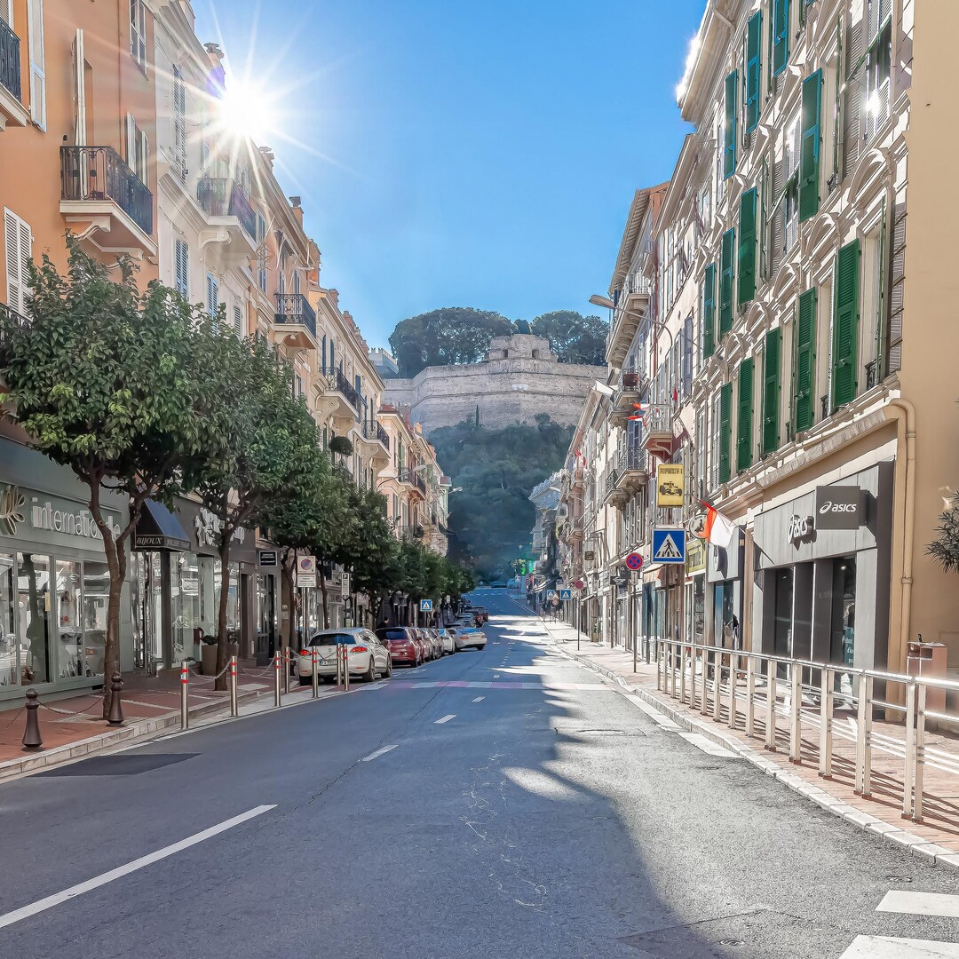 1-bedroom apartment duplex | Condamine