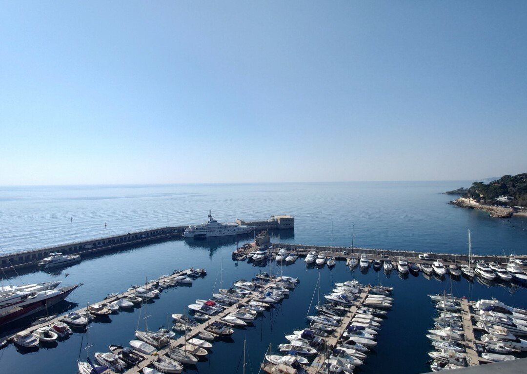 FONTVIEILLE MEMMO CENTER 5 ROOMS 754 sqm PRIVATE POOL