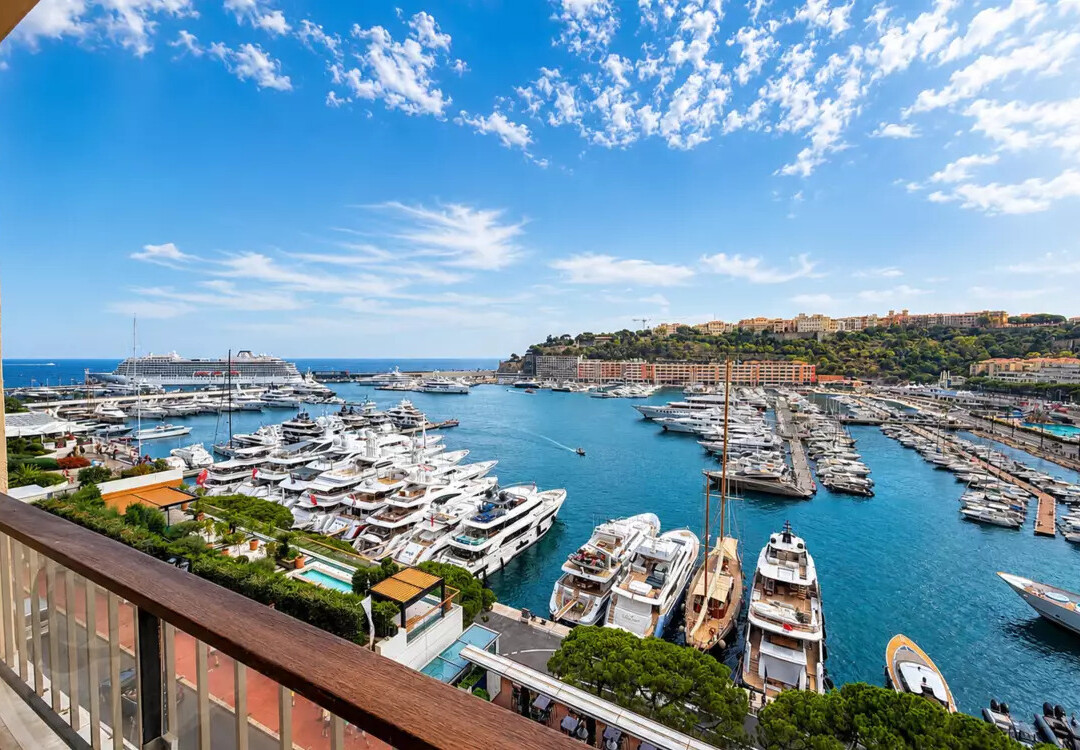 MAGNIFICENT APARTMENT PORT HERCULE