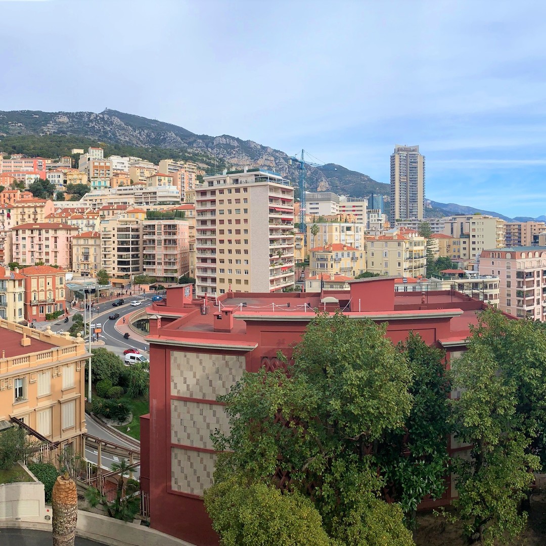 Apartments for rent in Monaco 4/27