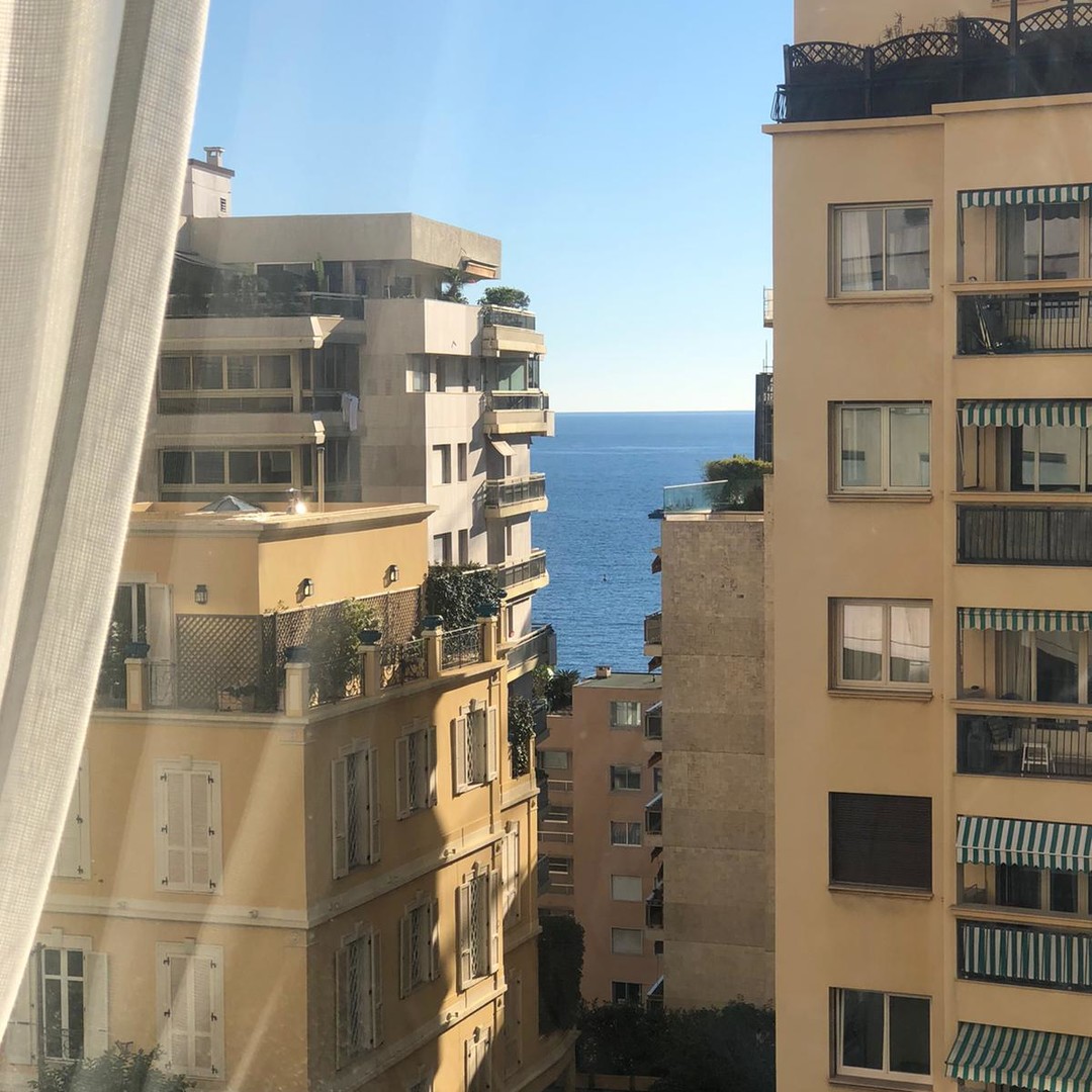 Apartments for rent in Monaco 4/27