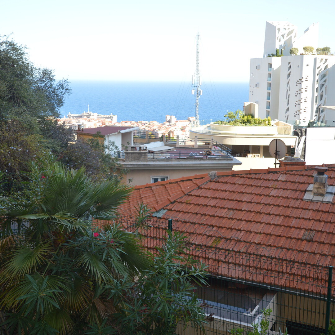 LES LIGURES LARGE 3 ROOMS SEA VIEW AND ROCK QUIET CELLAR AND PARKING