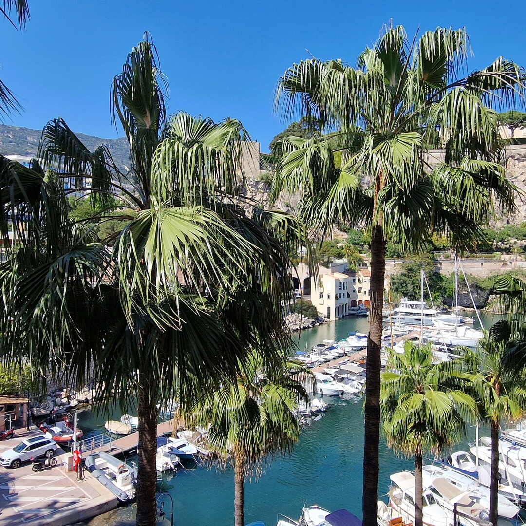 VACATION RENTAL STUDIO FONTVIEILLE