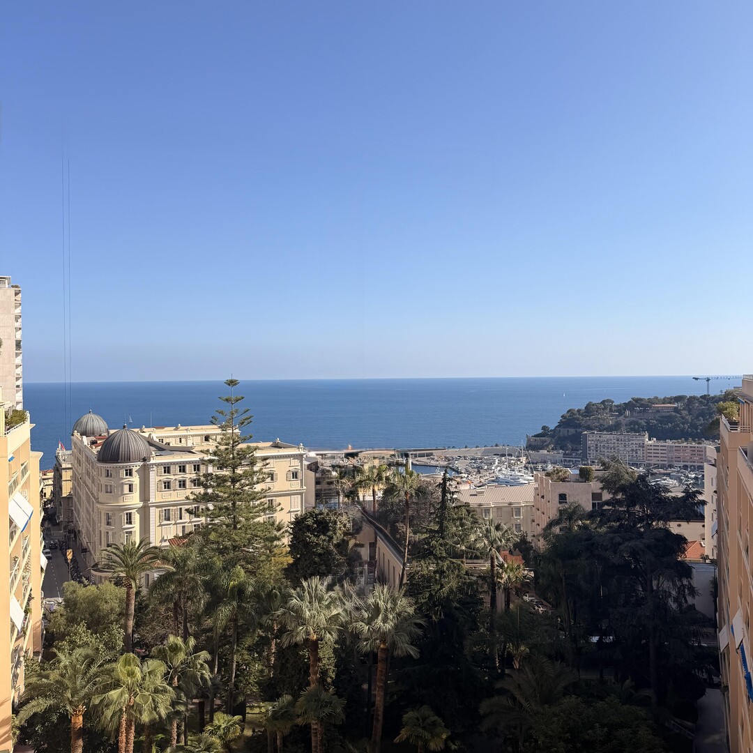 2  BEDROOM APARTMENT RENOVATED WITH SEA VIEW