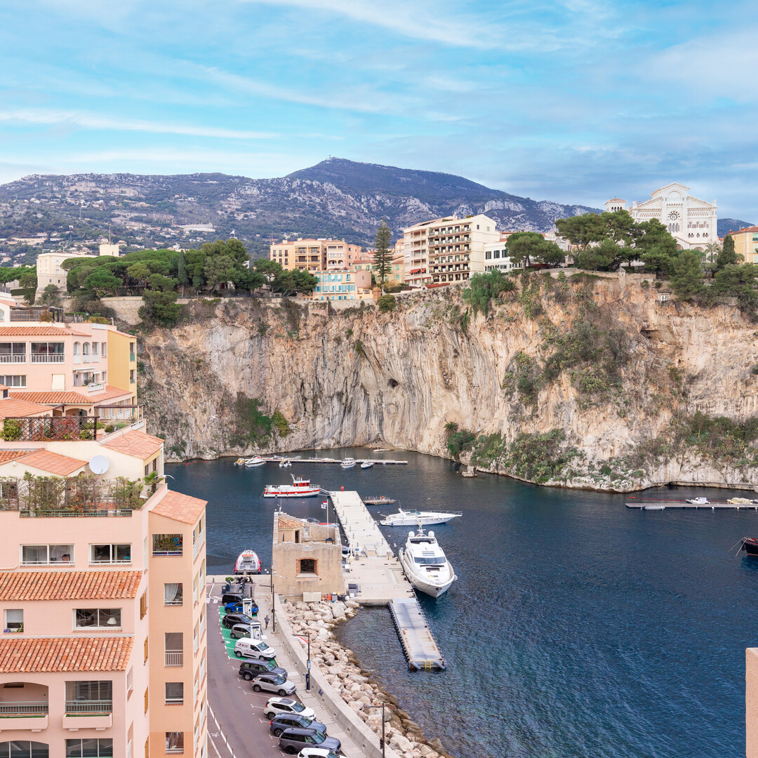 FONTVIEILLE - FURNISHED TWO-ROOM APARTMENT WITH SEA VIEW