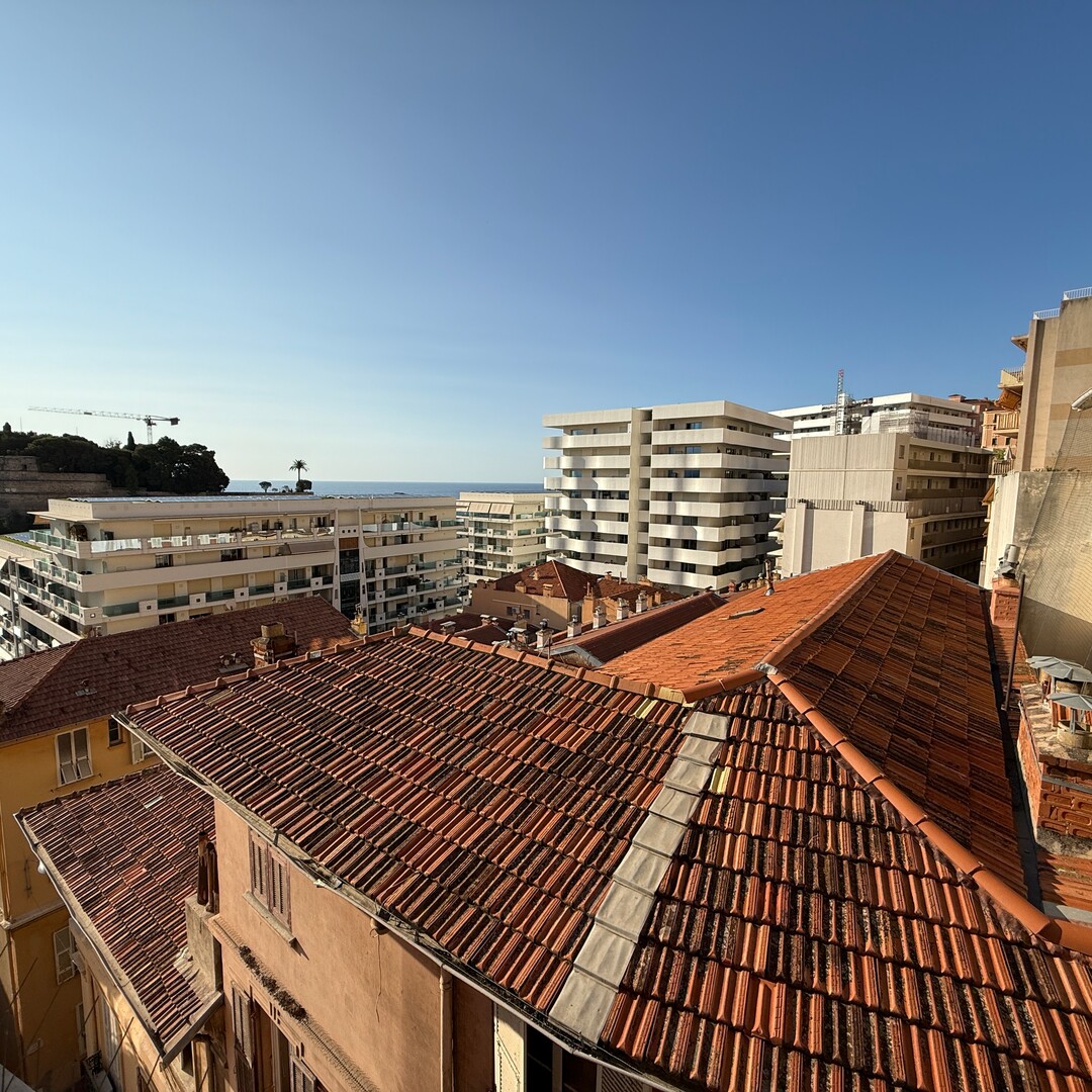Large, bright studio in a quiet area - Apartments for rent in Monaco