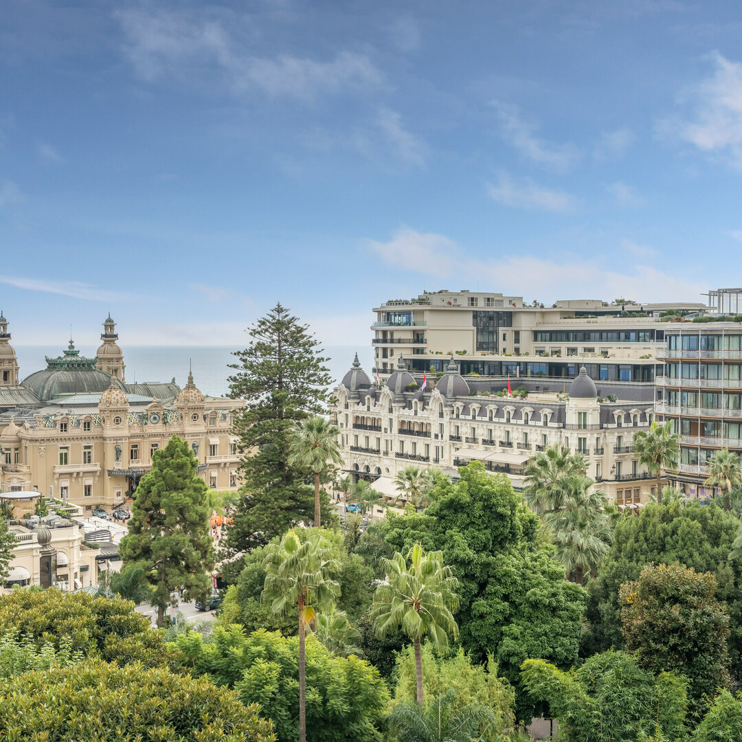 Carré d'Or - La Petite Afrique - 6 pieces - Apartments for rent in Monaco
