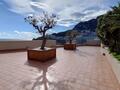 Superb exceptional roof apartment with private pool - Apartments for rent in Monaco