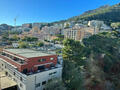 THE SAINT ROMAN PARK - Apartments for rent in Monaco