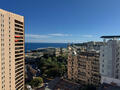 PRINCE DE GALLES  - Apartments for rent in Monaco