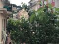 2 pièce rue Grimaldi - Apartments for rent in Monaco