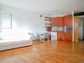 SAINT ROMAN / RÉSIDENCE AUTEUIL / 2 PIECES - Apartments for rent in Monaco