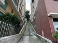 Exclusivity - Exotic Garden - Le Bettina - Studio of 37 m² furnished - Apartments for rent in Monaco