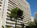 NEW ON THE MARKET' !!!!! - Apartments for rent in Monaco