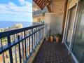 SPACIOUS STUDIO WITH SEA AND CASINO VIEWS - Apartments for rent in Monaco