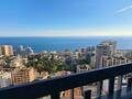 SPACIOUS STUDIO WITH SEA AND CASINO VIEWS - Apartments for rent in Monaco